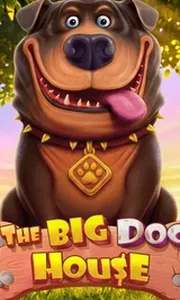 The Big Dog House